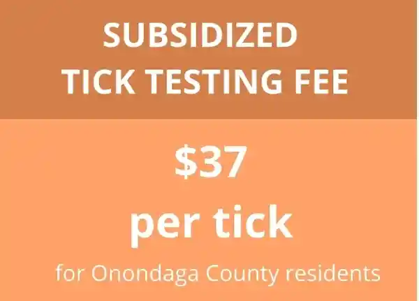 A picture of an orange background with text that says subsidized tick testing fee $ 3 7 per tick for onondaga county residents.