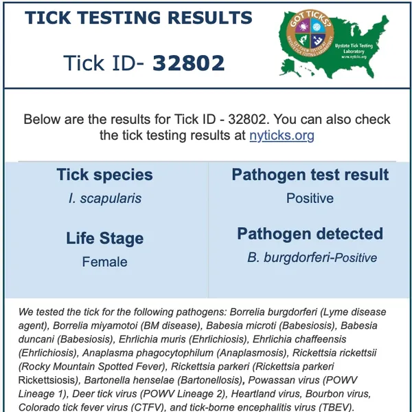 A picture of the tick testing results.